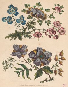 Zwei Sträuße imaginärer Blumen