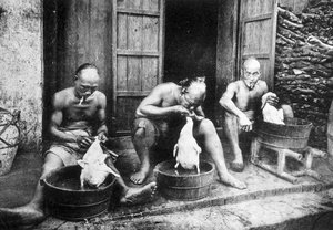 Chinesische Entenfedern, Saigon und seine Umgebung, Fotografie von Dieulefils, ca. 1900