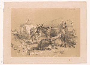 Studie von drei Eseln von Pierre Frédéric Lehnert