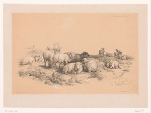 Studie einer Schafherde von Pierre Frédéric Lehnert