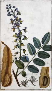 Peruanischer Balsam