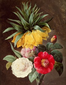 Exotische Blumen von Pierre Joseph Redouté