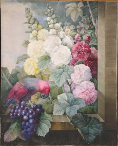 Stockrosen, Trauben und ein Papagei, 1836