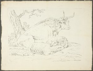 Ein Stier und zwei Schafe von Pierre Lelu