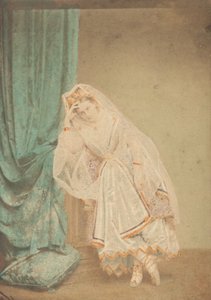 [Die Gräfin im Piqué-Kleid oder als Judith], 1860er Jahre