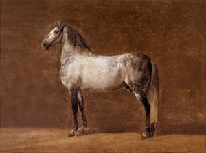 Pferd von Kaiser Napoleon I: der Cheikh von Pierre Martinet