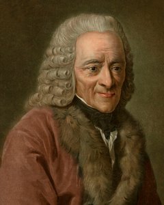 Porträt von Voltaire