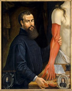 Porträt von Andre Vesale