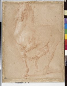 Pferdestudie von Pierre Puget
