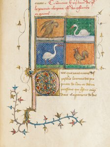Seite aus "De Proprietatibus Rerum" von Bartholomeus Anglicus, in der französischen Übersetzung von Jean Corbechon, ca. 1390