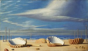 Muscheln in einer Landschaft