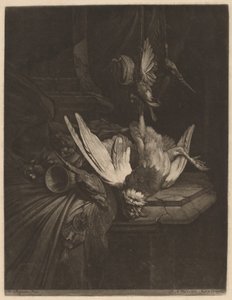 Stillleben mit Wildvögeln von Pieter Anthony Wakkerdak after William Gowe Ferguson