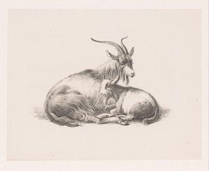 Bock und eine Ziege von Pieter Bartholomeusz. Barbiers