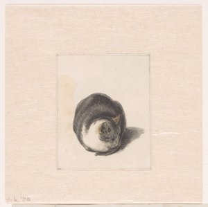 Sitzende Katze, von vorne gesehen von Pieter Bartholomeusz. Barbiers