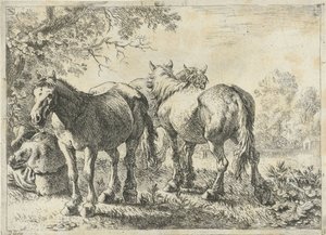 Drei Pferde und ein Bauer von Pieter Bodding van Laer