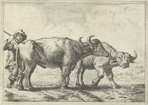 Zwei Büffel und ein Hirte von Pieter Bodding van Laer