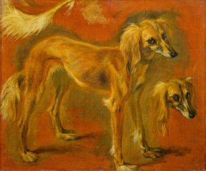 Zwei Studien eines Windhundes von Pieter or Peter Boel