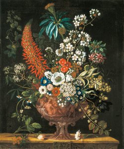 Dezember, aus Die zwölf Monate der Blumen, ein Blumenkalender von Stillleben, 1730 von Pieter Casteels