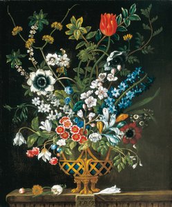 Februar, aus Die zwölf Monate der Blumen, ein Blumenkalender von Stillleben von Pieter Casteels