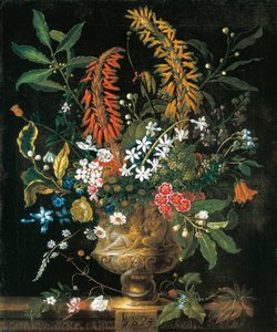 Januar, aus Die zwölf Monate der Blumen, ein Blumenkalender von Stillleben von Pieter Casteels