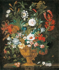 September, aus Die zwölf Monate der Blumen, ein Blumenkalender von Stillleben von Pieter Casteels