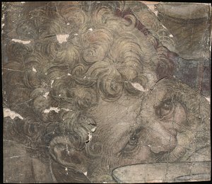 Kopf eines bärtigen Mannes, der nach oben schaut von Pieter Coecke van Aelst