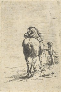 Gesatteltes Pferd an einem Pfahl von Pieter Cornelisz. Verbeeck