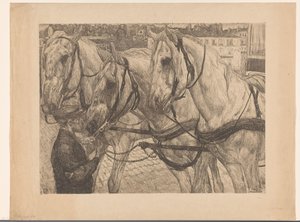 Stallbursche