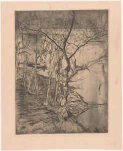 Kahle Bäume am Wasser von Pieter Dupont