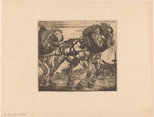 Zugpferde an der Seine in Paris (L