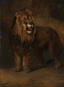 Ein Löwe aus der Menagerie von König Louis Napoleon, 1808 von Pieter Gerardus van Os