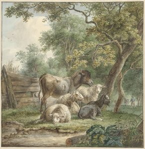 Rinder in einem Obstgarten