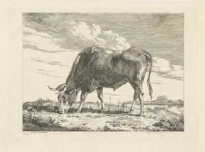 Weidende Kuh von Pieter Gerardus van Os