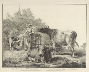 Kühe und eine Milchmagd