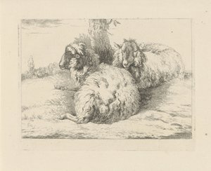 Liegende Schafe (Schafe und Ziegen) von Pieter Gerardus van Os