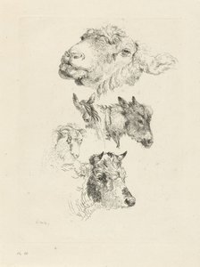 Studienblatt mit Schaf-, Pferde-, Esel-, Widder- und Stierköpfen