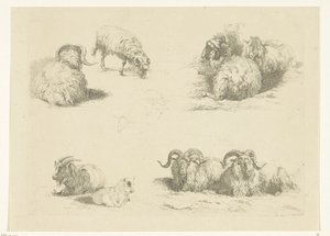 Vier Darstellungen mit Schafen und Ziegen von Pieter Gerardus van Os