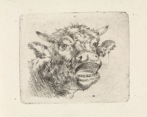 Kuhkopf, brüllend von Pieter Janson