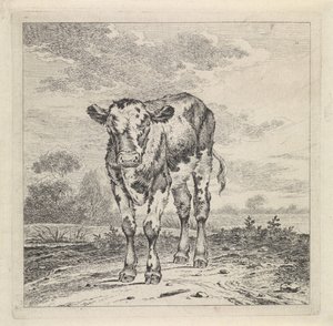 Landschaft mit Kalb von Pieter Janson