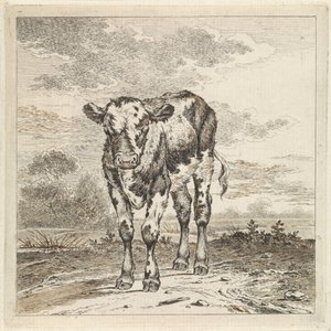 Landschaft mit Kalb von Pieter Janson