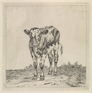 Landschaft mit Kalb von Pieter Janson