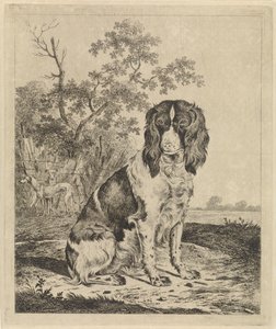 Sitzender Vorstehhund