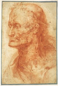 Studie eines alten Mannes Kopf, ca. 1602 von Pieter Paul Rubens