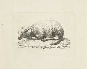 Liegendes Schaf von Pieter Roosing