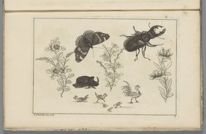 Drei Blumenstängel mit Nashornkäfer, Schmetterling und Käfer