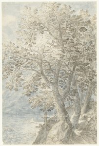 Bäume bei einer steilen Felswand von Pieter Stevens (I)