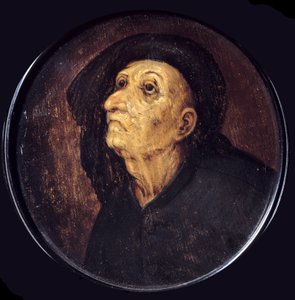 Kopf eines alten Mannes, auch genannt der Neid von Pieter Bruegel the Elder