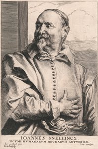 Joannes Snellincx, Maler menschlicher Figuren in Antwerpen von Pieter de Jode