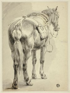Reitpferd von Pieter van Bloemen