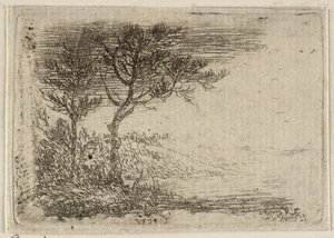 Landschaft mit zwei Bäumen von Pieter van Laer